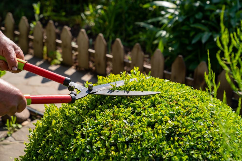 Entretien de jardin à Draveil