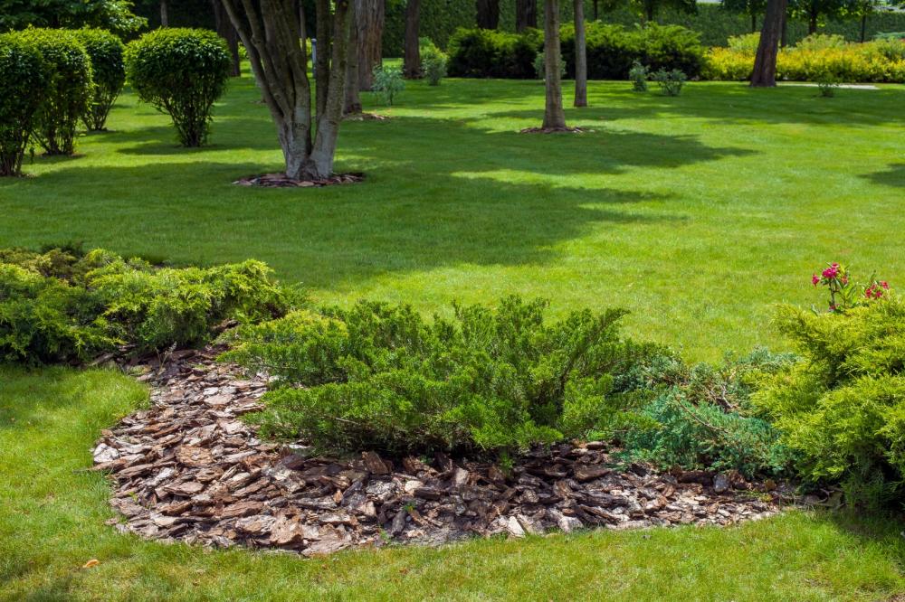 Entretien de vos espaces verts