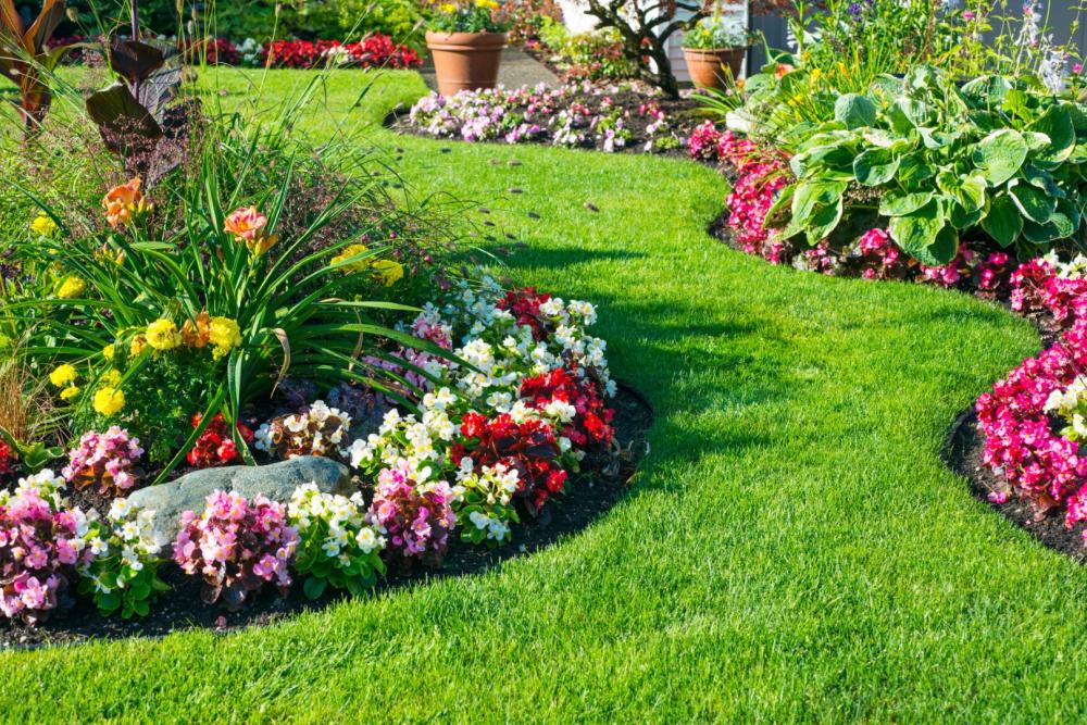 Des solutions professionnelles pour sublimer vos extérieurs