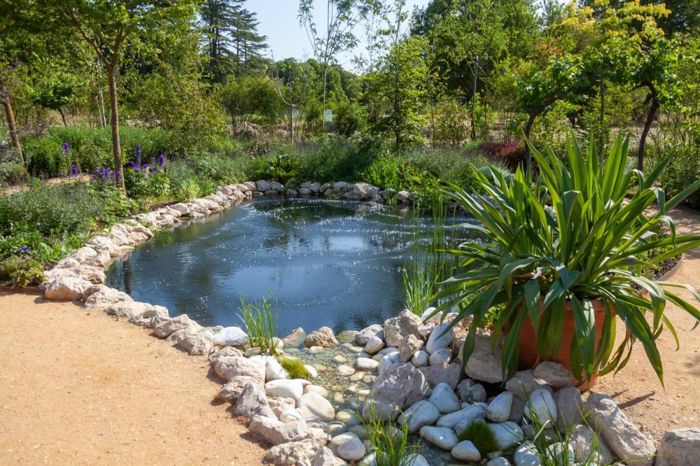 Création de bassins aquatiques